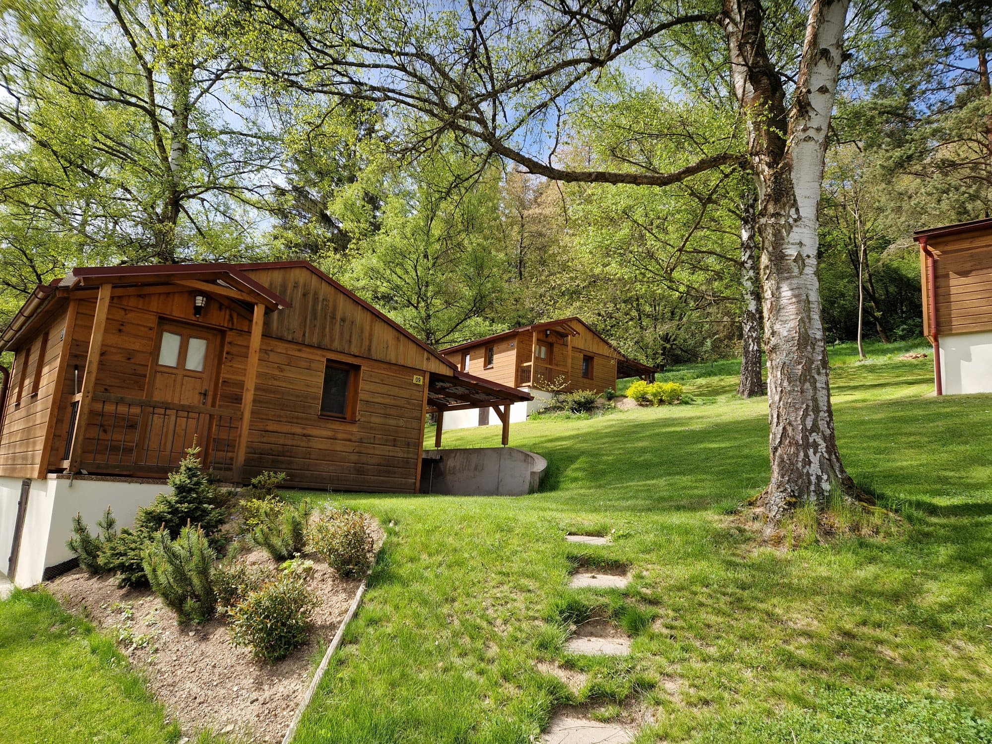 Dřevěné apartmány mezi břízami